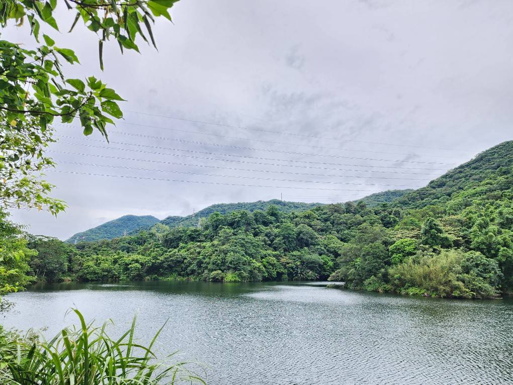 新北市汐止區白匏湖，擁有豐富生態資源與美麗湖光山色的秘境。